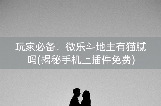 玩家必备！微乐斗地主有猫腻吗(揭秘手机上插件免费)