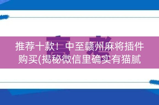 推荐十款！中至赣州麻将插件购买(揭秘微信里确实有猫腻)