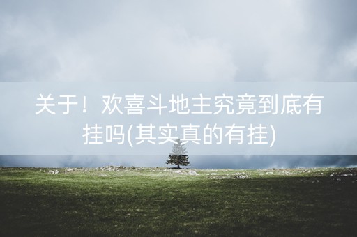 关于！欢喜斗地主究竟到底有挂吗(其实真的有挂)