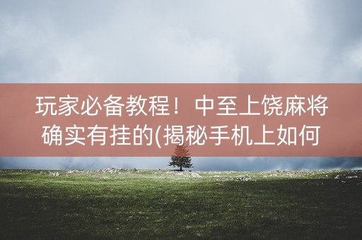 玩家必备教程！中至上饶麻将确实有挂的(揭秘手机上如何让牌变好)