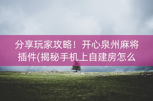 分享玩家攻略！开心泉州麻将插件(揭秘手机上自建房怎么赢)