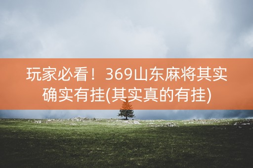 玩家必看！369山东麻将其实确实有挂(其实真的有挂)