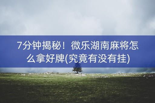 7分钟揭秘！微乐湖南麻将怎么拿好牌(究竟有没有挂)