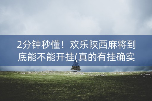 2分钟秒懂！欢乐陕西麻将到底能不能开挂(真的有挂确实有挂)