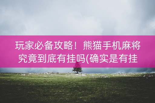 玩家必备攻略！熊猫手机麻将究竟到底有挂吗(确实是有挂的)