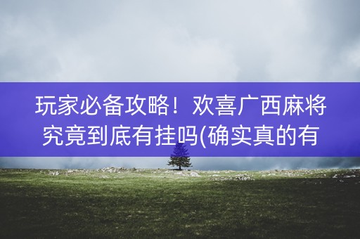 玩家必备攻略！欢喜广西麻将究竟到底有挂吗(确实真的有挂)