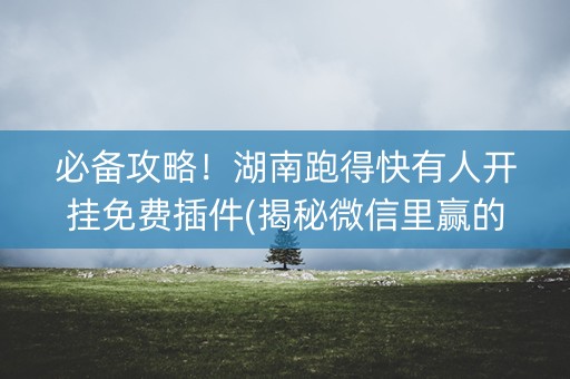 必备攻略！湖南跑得快有人开挂免费插件(揭秘微信里赢的诀窍)