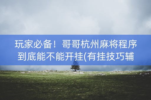 玩家必备！哥哥杭州麻将程序到底能不能开挂(有挂技巧辅助器)