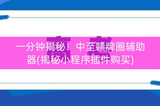 一分钟揭秘！中至赣牌圈辅助器(揭秘小程序插件购买)
