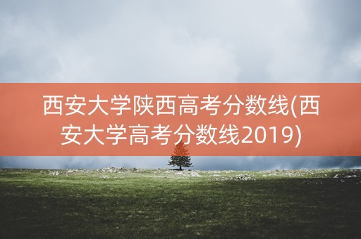 西安大学陕西高考分数线(西安大学高考分数线2019)