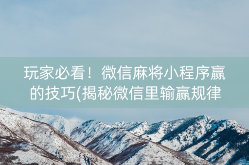 玩家必看！微信麻将小程序赢的技巧(揭秘微信里输赢规律)