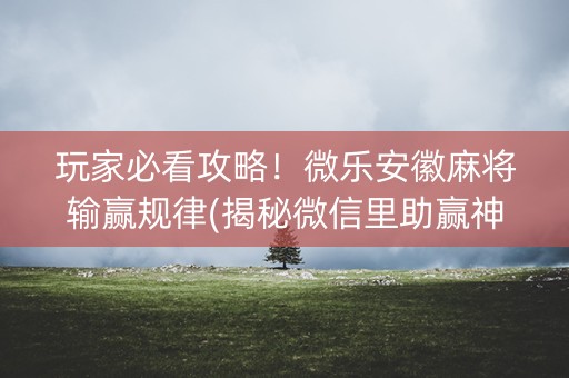 玩家必看攻略！微乐安徽麻将输赢规律(揭秘微信里助赢神器)