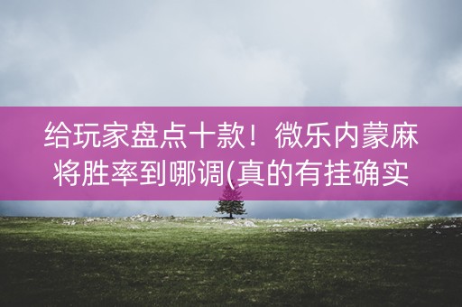 给玩家盘点十款！微乐内蒙麻将胜率到哪调(真的有挂确实有挂)