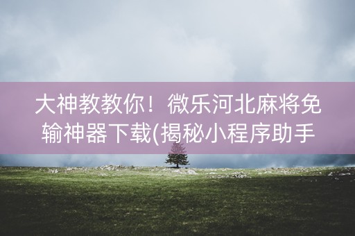 大神教教你！微乐河北麻将免输神器下载(揭秘小程序助手软件)