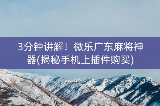 3分钟讲解！微乐广东麻将神器(揭秘手机上插件购买)