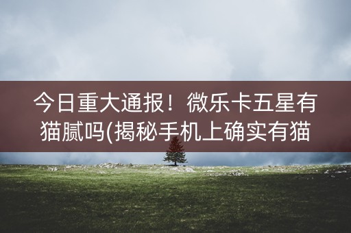 今日重大通报！微乐卡五星有猫腻吗(揭秘手机上确实有猫腻)