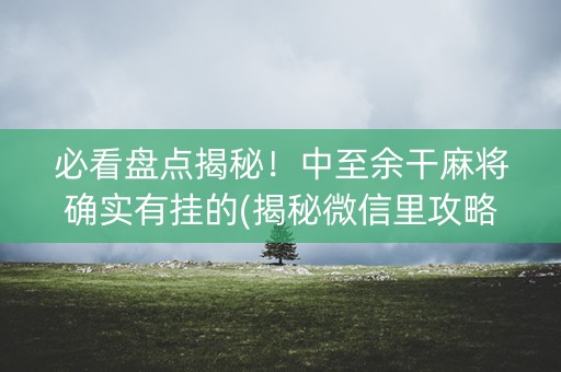 必看盘点揭秘！中至余干麻将确实有挂的(揭秘微信里攻略插件)