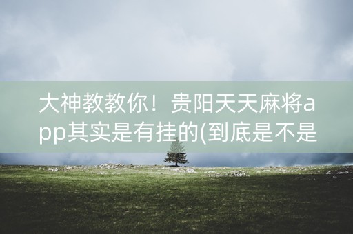 大神教教你！贵阳天天麻将app其实是有挂的(到底是不是有挂)