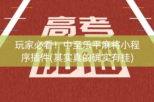 玩家必看！中至乐平麻将小程序插件(其实真的确实有挂)