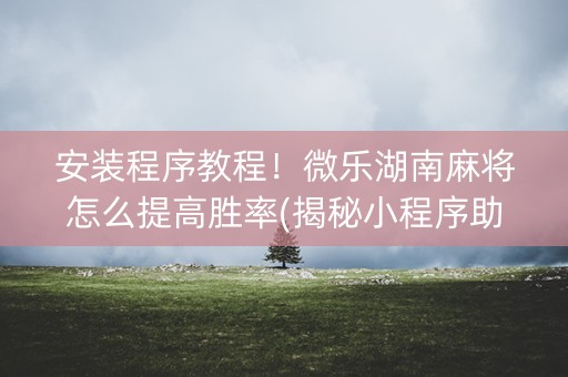 安装程序教程！微乐湖南麻将怎么提高胜率(揭秘小程序助手软件)
