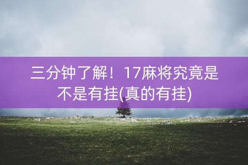 三分钟了解！17麻将究竟是不是有挂(真的有挂)