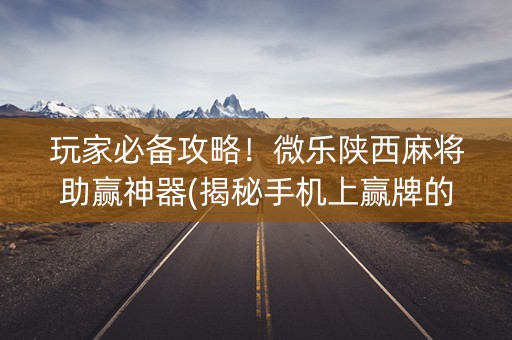 玩家必备攻略！微乐陕西麻将助赢神器(揭秘手机上赢牌的技巧)