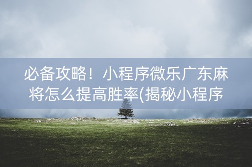 必备攻略！小程序微乐广东麻将怎么提高胜率(揭秘小程序胡牌神器)