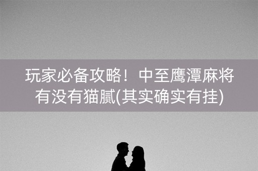 玩家必备攻略！中至鹰潭麻将有没有猫腻(其实确实有挂)