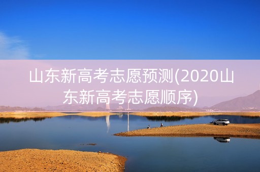 山东新高考志愿预测(2020山东新高考志愿顺序)