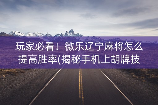 玩家必看！微乐辽宁麻将怎么提高胜率(揭秘手机上胡牌技巧)