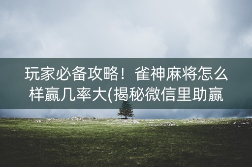 玩家必备攻略！雀神麻将怎么样赢几率大(揭秘微信里助赢神器购买)