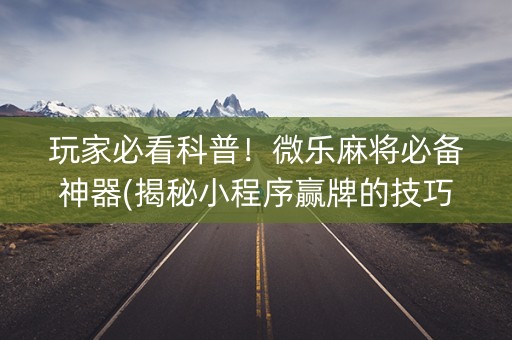 玩家必看科普！微乐麻将必备神器(揭秘小程序赢牌的技巧)