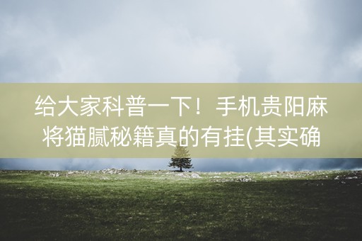 给大家科普一下！手机贵阳麻将猫腻秘籍真的有挂(其实确实有挂)