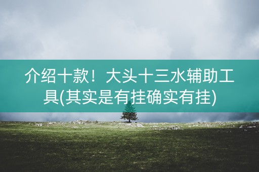 介绍十款！大头十三水辅助工具(其实是有挂确实有挂)