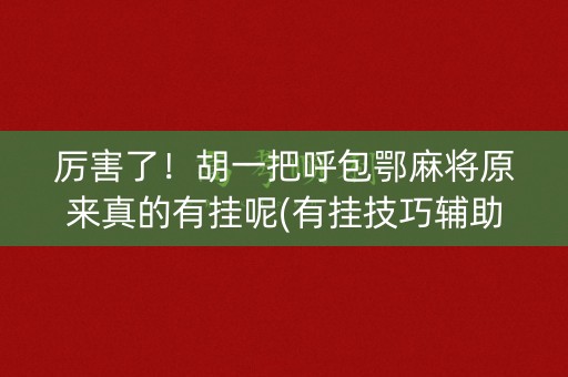 厉害了！胡一把呼包鄂麻将原来真的有挂呢(有挂技巧辅助器)