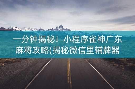 一分钟揭秘！小程序雀神广东麻将攻略(揭秘微信里辅牌器)