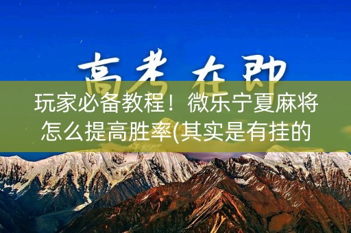 玩家必备教程！微乐宁夏麻将怎么提高胜率(其实是有挂的)
