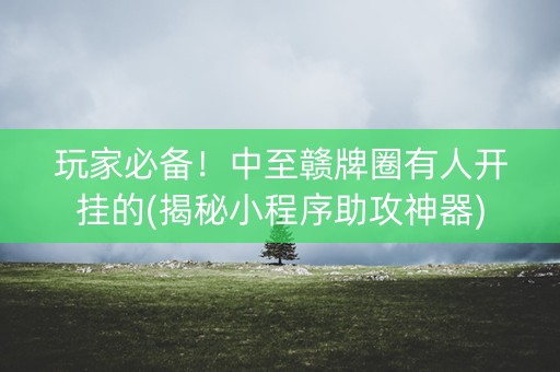 玩家必备！中至赣牌圈有人开挂的(揭秘小程序助攻神器)