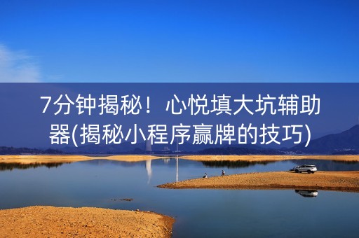 7分钟揭秘！心悦填大坑辅助器(揭秘小程序赢牌的技巧)