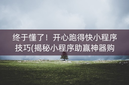 终于懂了！开心跑得快小程序技巧(揭秘小程序助赢神器购买)