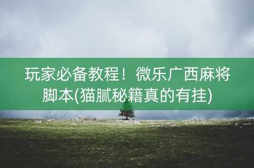 玩家必备教程！微乐广西麻将脚本(猫腻秘籍真的有挂)