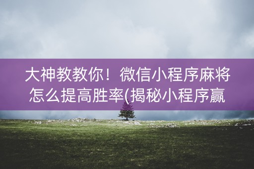大神教教你！微信小程序麻将怎么提高胜率(揭秘小程序赢牌的技巧)