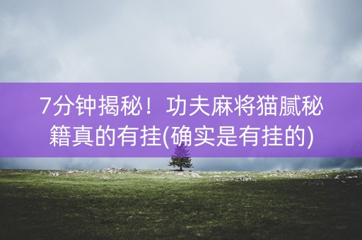 7分钟揭秘！功夫麻将猫腻秘籍真的有挂(确实是有挂的)