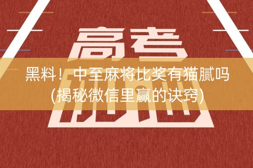 黑料！中至麻将比奖有猫腻吗(揭秘微信里赢的诀窍)