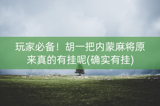 玩家必备！胡一把内蒙麻将原来真的有挂呢(确实有挂)