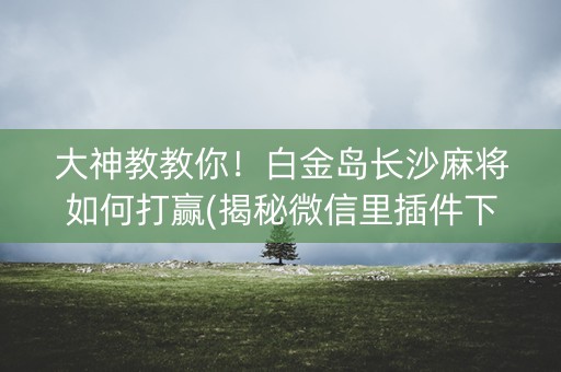 大神教教你！白金岛长沙麻将如何打赢(揭秘微信里插件下载)