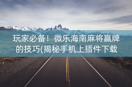 玩家必备！微乐海南麻将赢牌的技巧(揭秘手机上插件下载)
