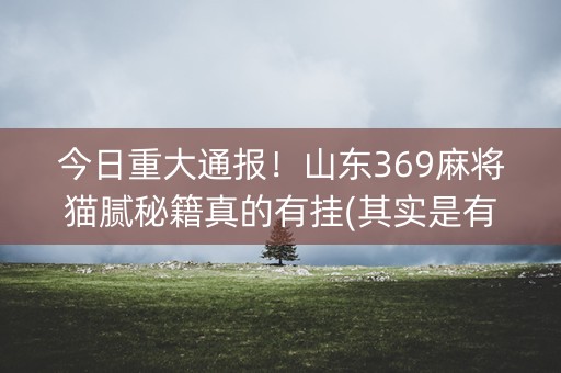 今日重大通报！山东369麻将猫腻秘籍真的有挂(其实是有挂确实有挂)