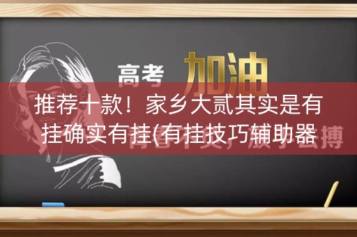推荐十款！家乡大贰其实是有挂确实有挂(有挂技巧辅助器)