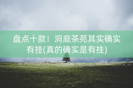 盘点十款！洞庭茶苑其实确实有挂(真的确实是有挂)